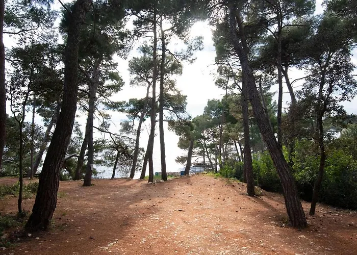 Ama - Ground Floor Lejlighed *